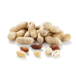 Zeige Details für Erdnussöl Bio - Speiseöl Bild von Erdnussöl Bio - Speiseöl