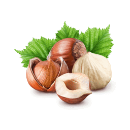 Zeige Details für Haselnussöl Bio Bild von Haselnussöl Bio