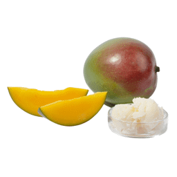 Zeige Details für Mangobutter raff. Bio, nur für kosmetische Zwecke Bild von Mangobutter raff. Bio, nur für kosmetische Zwecke