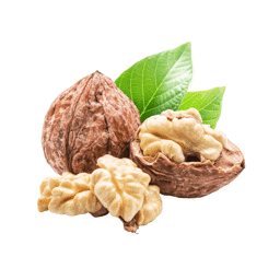 Zeige Details für Walnussöl Bio Bild von Walnussöl Bio