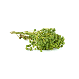 Zeige Details für Litsea Cubeba, 100% rein ätherisches Öl Bild von Litsea Cubeba, 100% rein ätherisches Öl