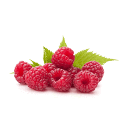 Zeige Details für Himbeersamenöl Bio Bild von Himbeersamenöl Bio