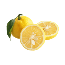 Zeige Details für Yuzu, Extrakt, 100% rein ätherisches Öl Bild von Yuzu, Extrakt, 100% rein ätherisches Öl