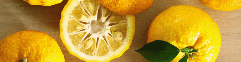 Yuzu - Öl des Monats Yuzu - Öl des Monats