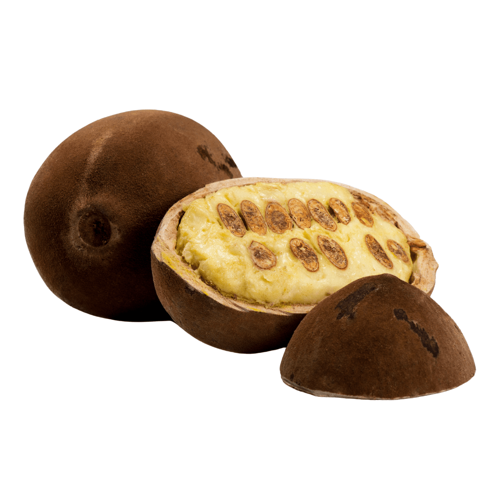 Bild von Cupuacu Butter Bio