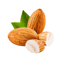 Zeige Details für Mandelöl Bio DEMETER Bild von Mandelöl Bio DEMETER