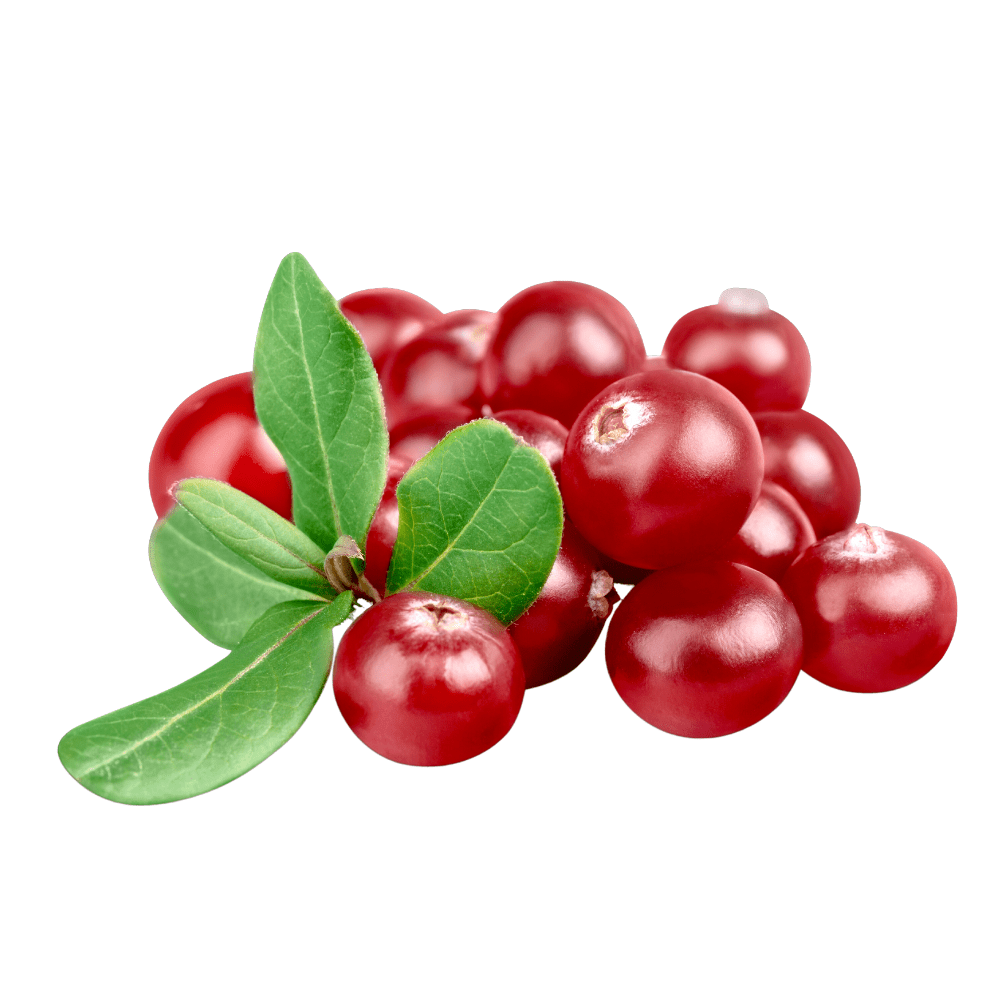 Bild von Cranberrysamenöl Bio