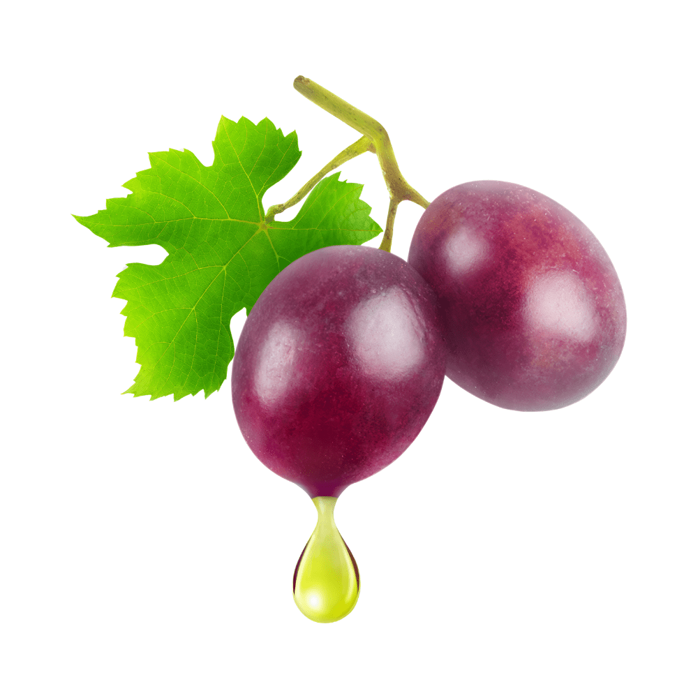 Bild von Traubenkernöl PREMIUM Bio