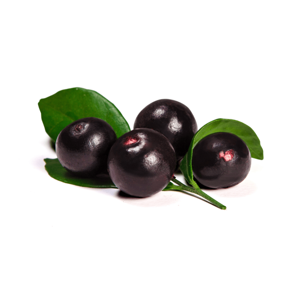 Bild von Acai Fruchtpulver bio