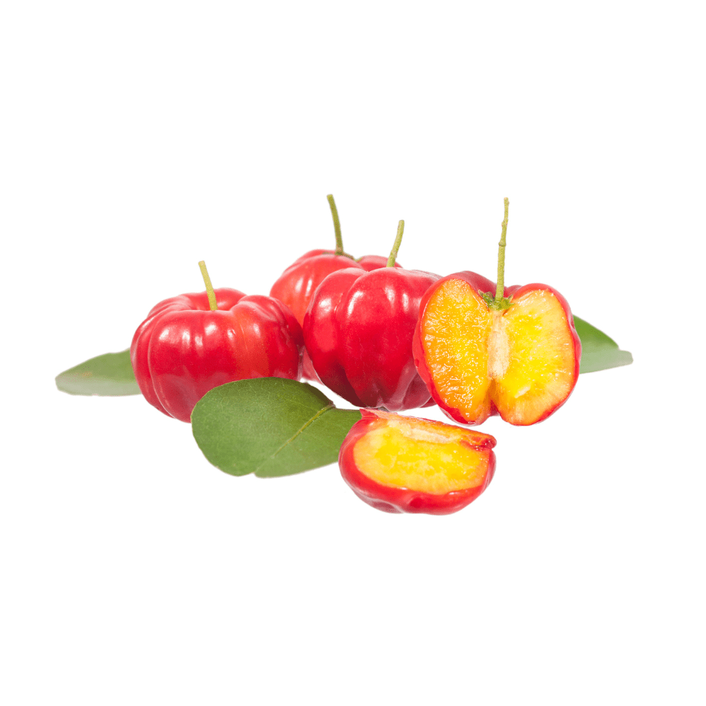 Bild von Acerola Fruchtpulver Bio, 17% nat. Vitamin C