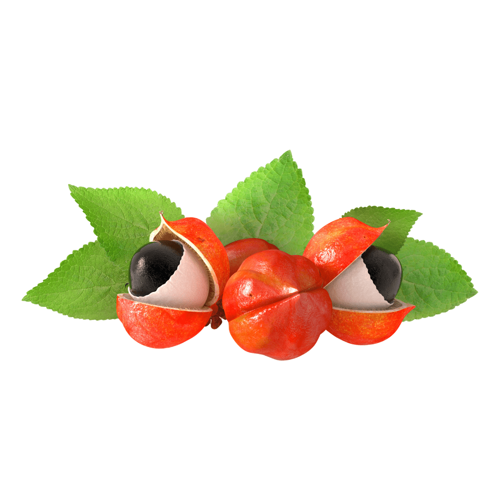 Bild von Guarana Plv Extr Bio min. 8%