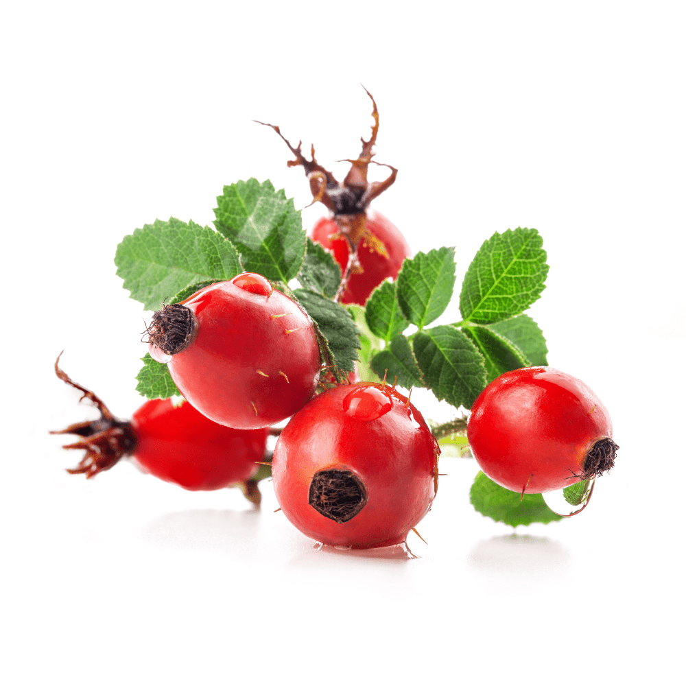 Bild von Hagebutten Fruchtpulver Bio