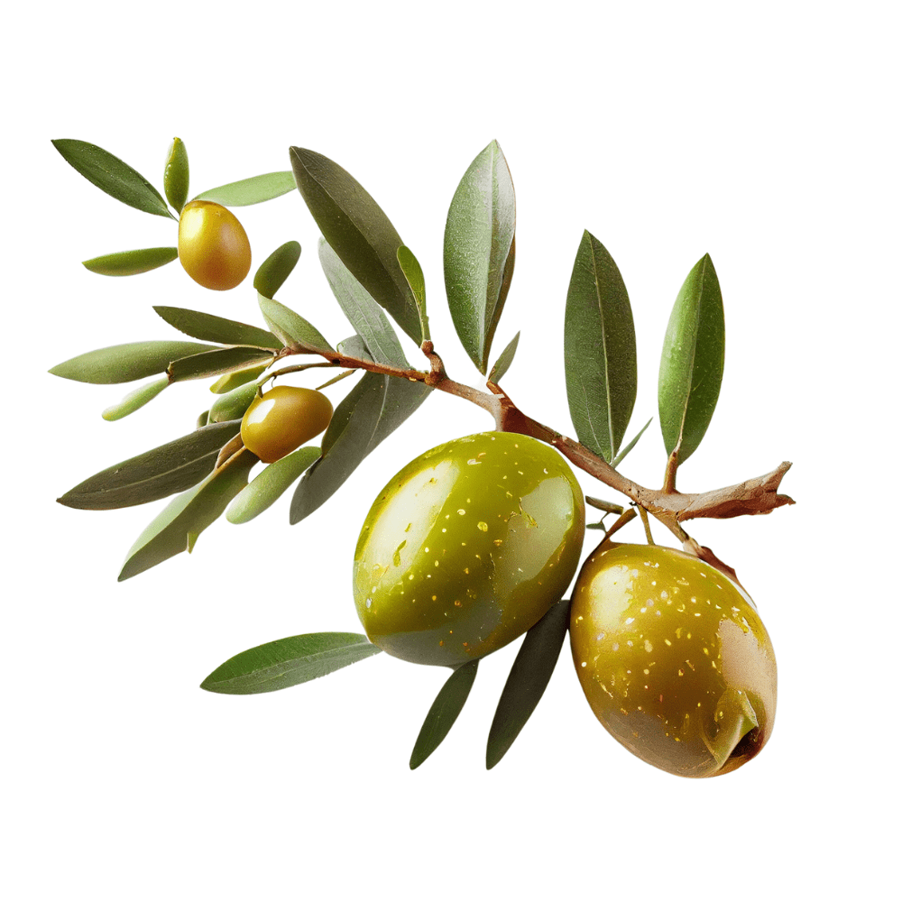 Bild von Olivem® 1000, Emulgator