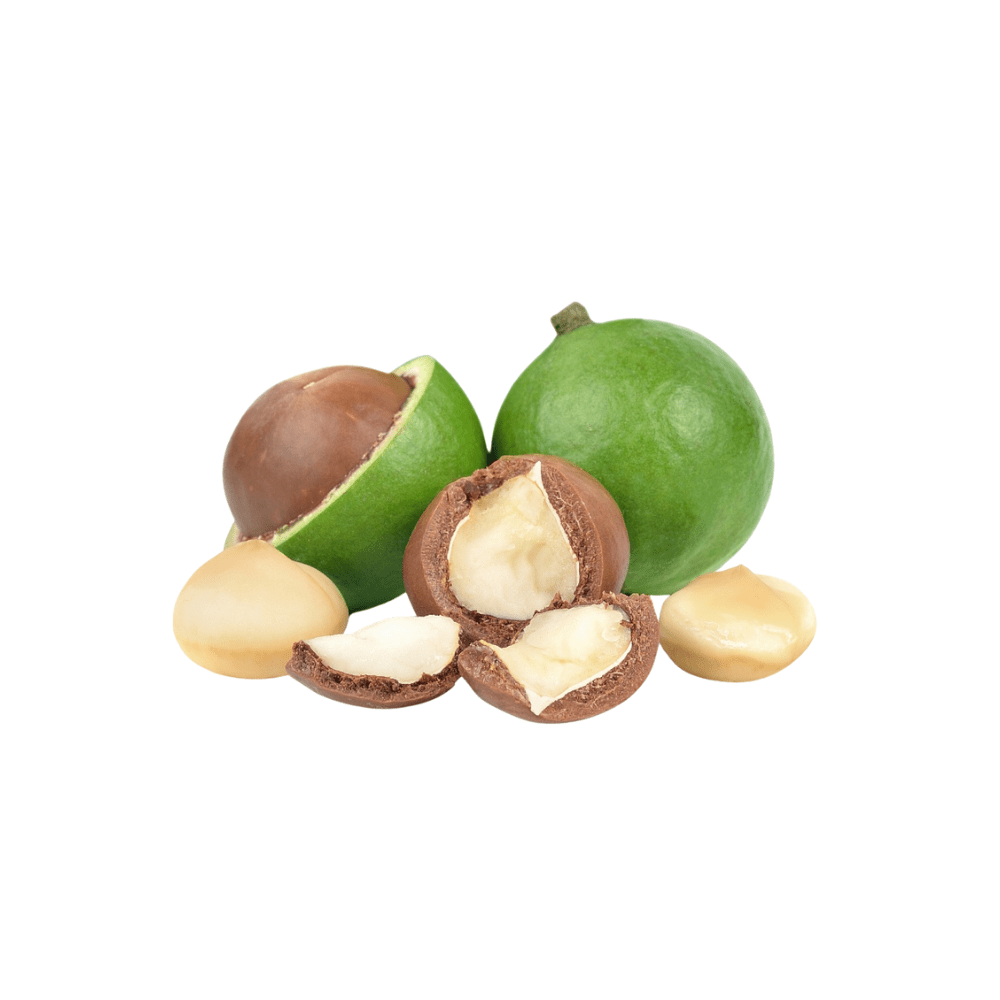 Bild von Macadamianussöl Bio