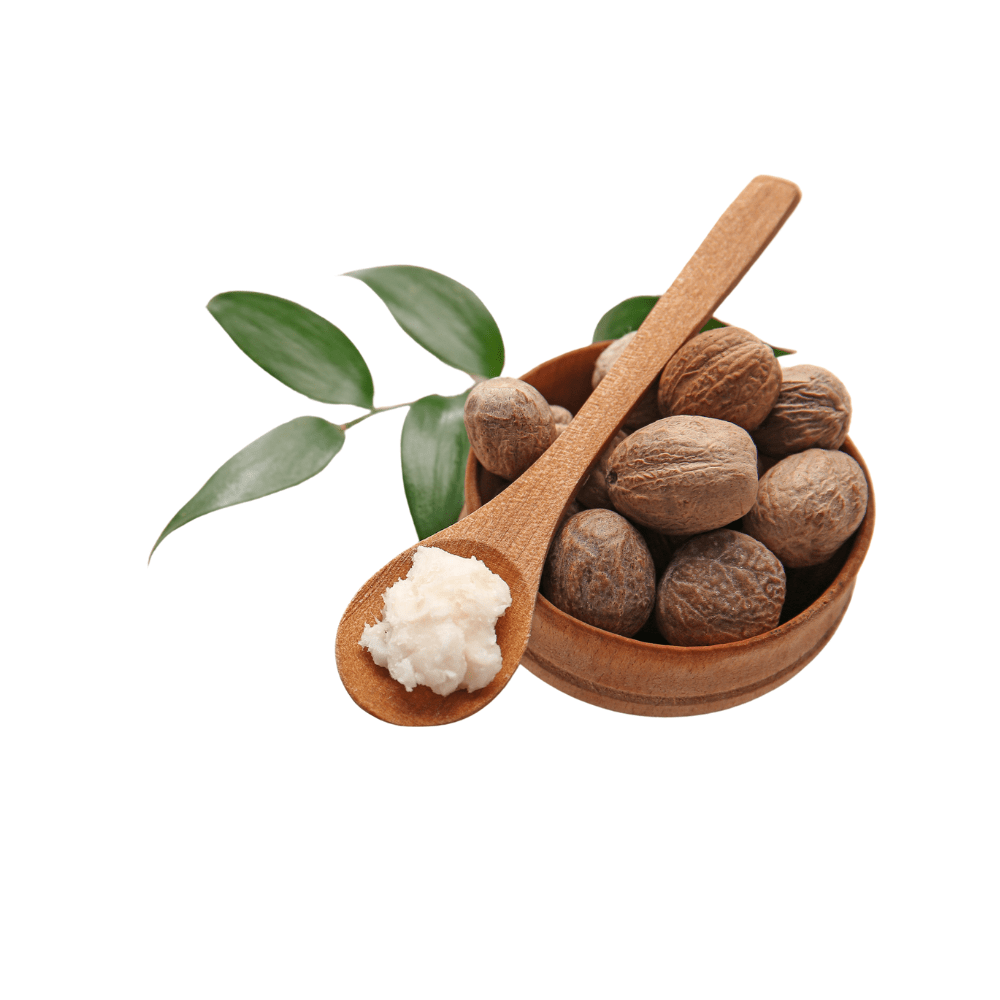 Bild von Sheabutter raff Bio