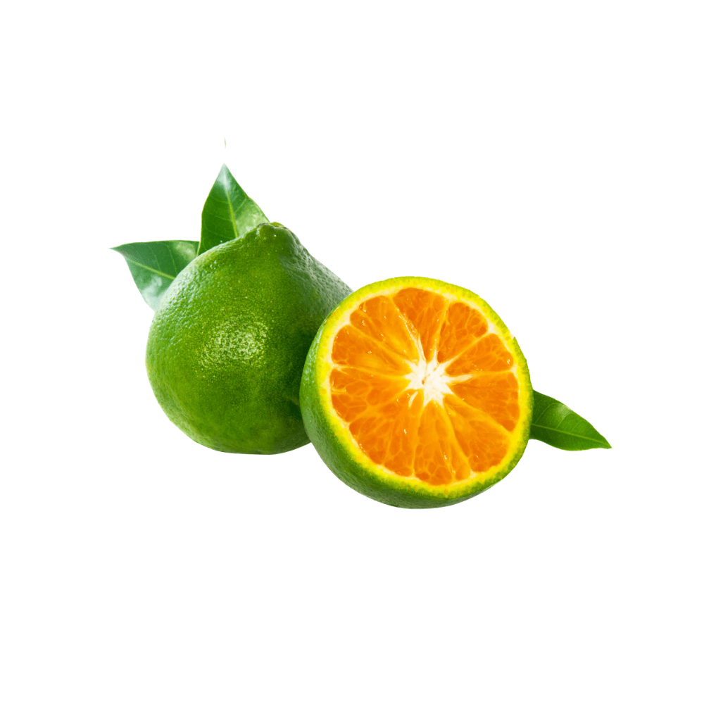 Bild von Mandarine grün, 100% rein ätherisches Öl