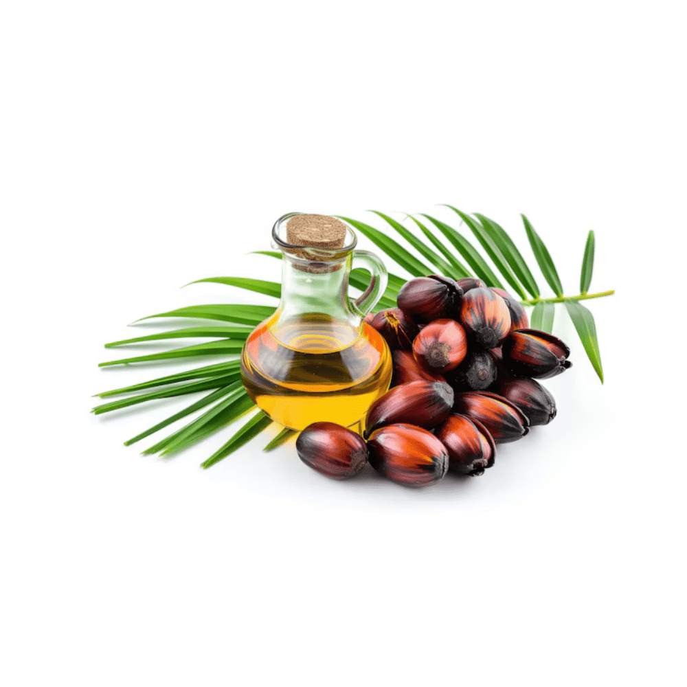 Bild von MCT Öl raff. , Basis: Palm