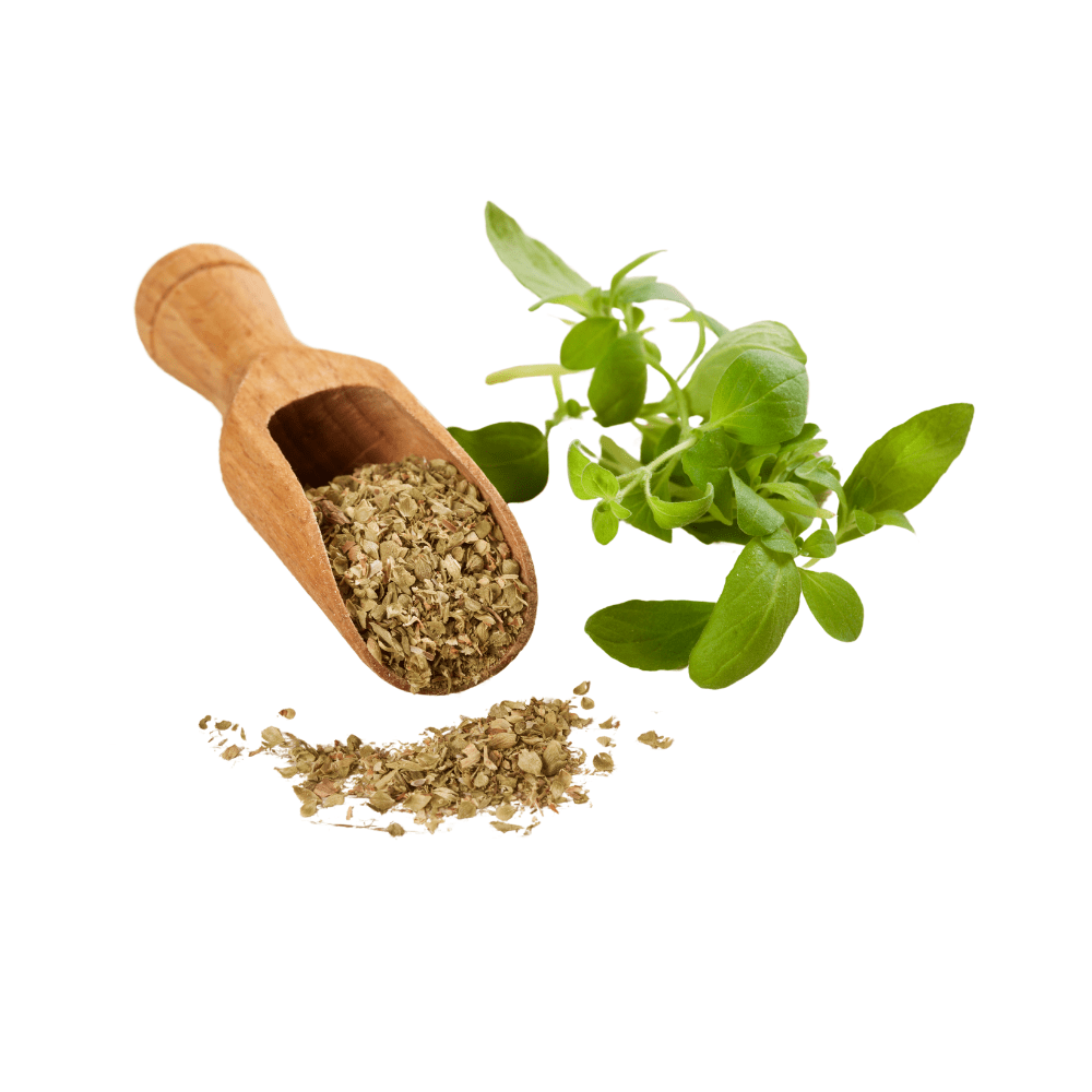 Bild von Oregano Bio, 100% rein ätherisches Öl
