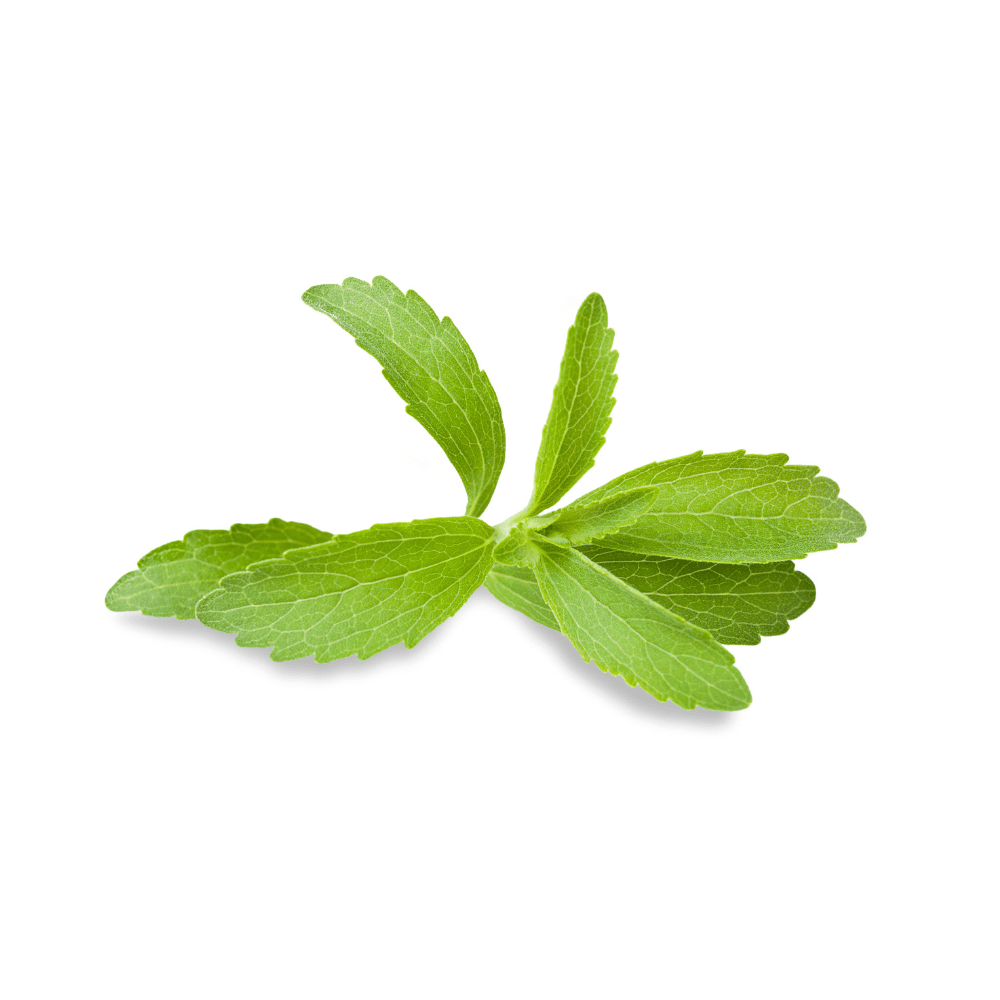 Bild von Stevia Blätter Bio