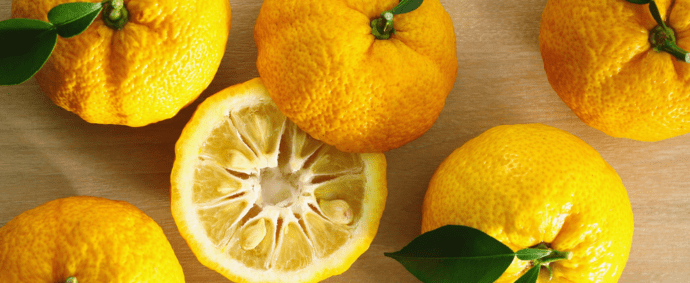 Yuzu - Aceite del mes