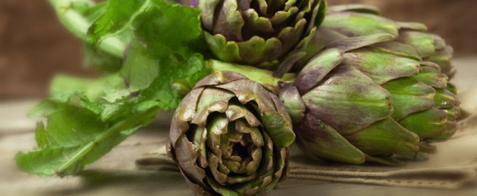 Artichoke – natural support for liver, gallbladder &amp;amp; digestion