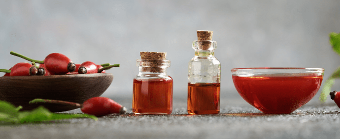Rosehip – the red power of autumn